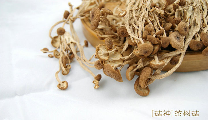 笋都精选茶树菇200g