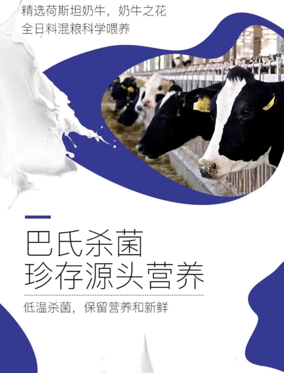 【山姆代购】“蒙牛”鲜牛奶，全脂巴氏杀菌乳2l
