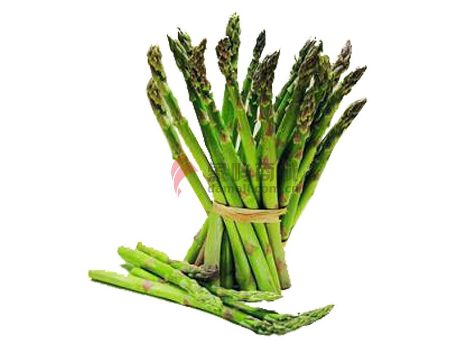 ݫƤ_«_ݫƤ_Ա