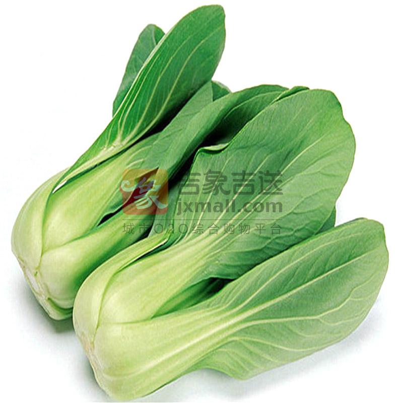 精品大头上海青(外地油菜)