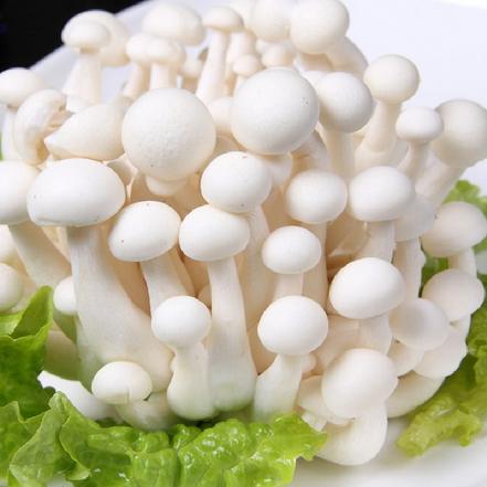 白玉菇150g - 吉象超市 - 吉象吉送-城市o2o导购平台