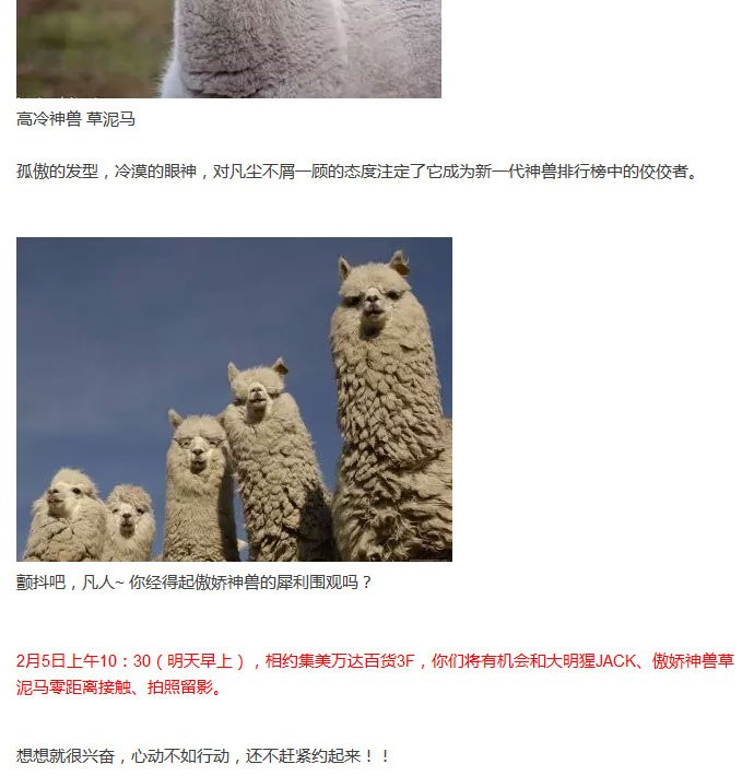 累计评价(   已有 0人评价  0% 0% 0% 0% 0%      全部 (0) 5星 (0)