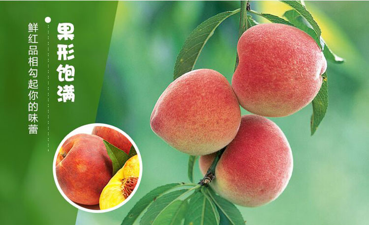 广西黄肉红桃 - 吉象超市 - 吉象吉送-城市o2o导购平台