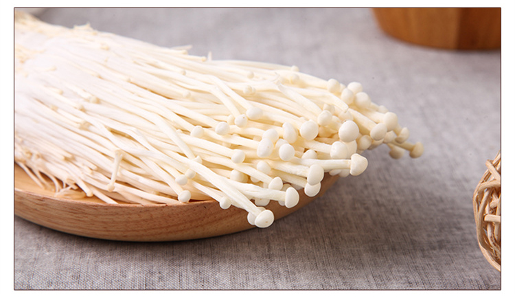 大包金针菇 5斤装