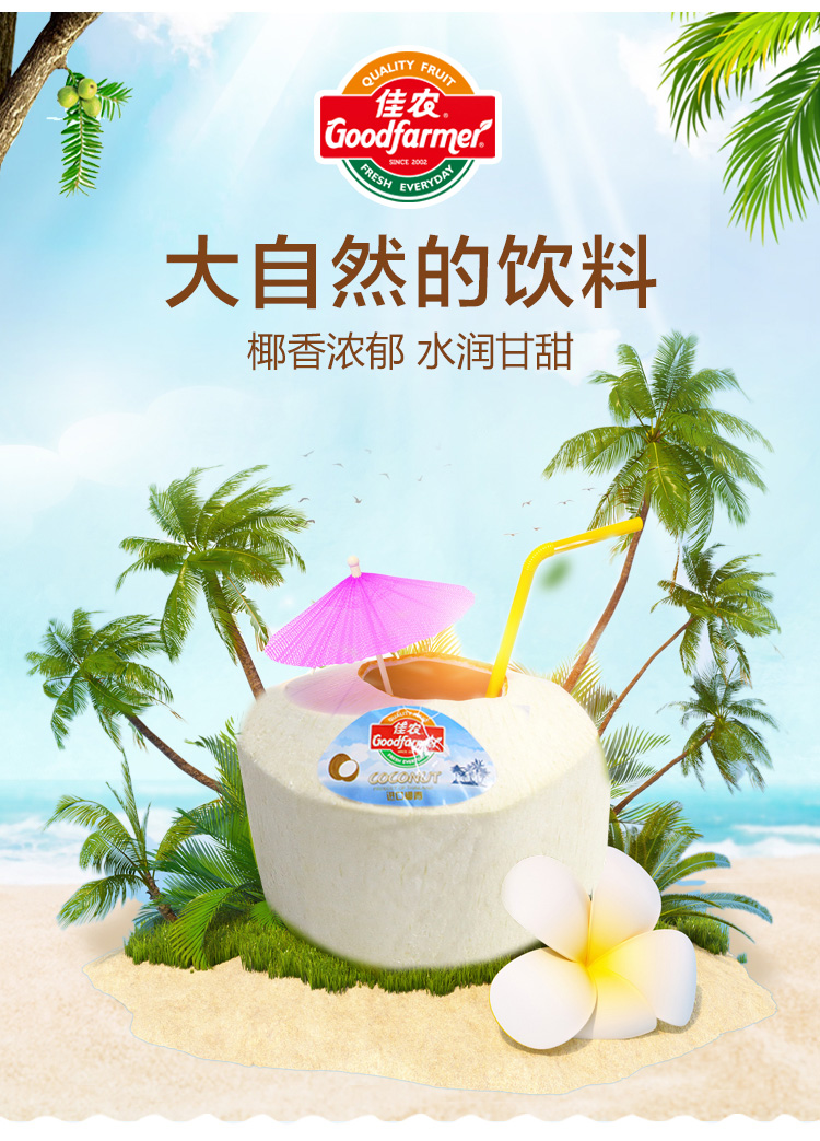 【进口】精品椰青