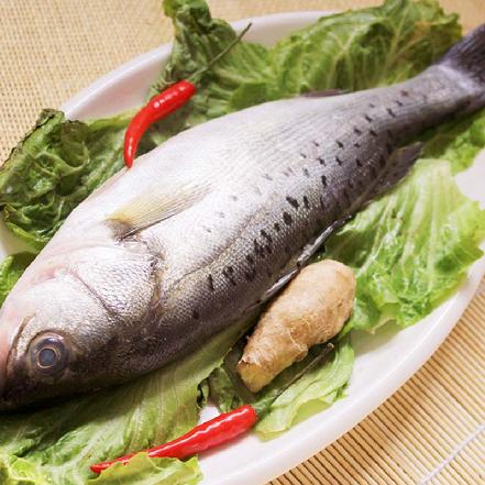 冰鲜鲈鱼 长约36cm 1-1.3斤/条