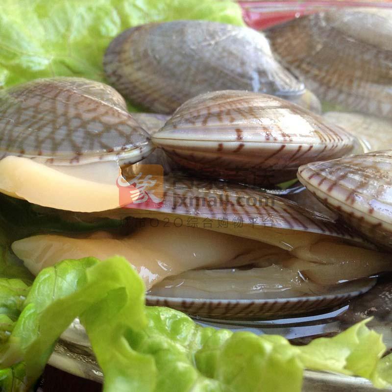 油蛤(鲜活送到家) 约50个/斤(收货后加入适量盐水浸泡去沙土)