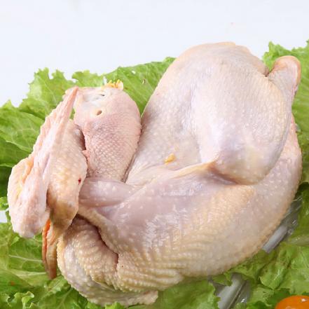 河田鸡 2-2.6斤/只(当日宰杀,净重出售,无内脏)