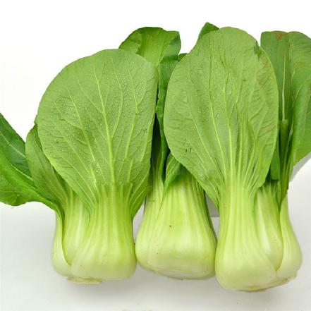 精品大头上海青(外地油菜)