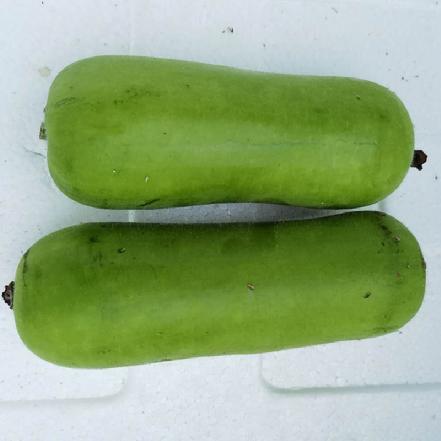 【无农药.】【孩子爱吃 】.瓠瓜400g/份。有机肥种植，不使用任何化学农药、除草剂、激素