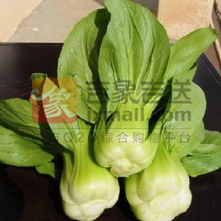 精品大头上海青(外地油菜)