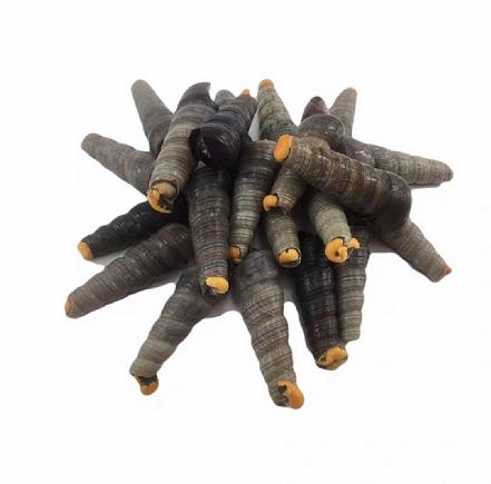 周四送货【秒杀回馈】钉螺（去尾.新鲜） 约400g±20g
