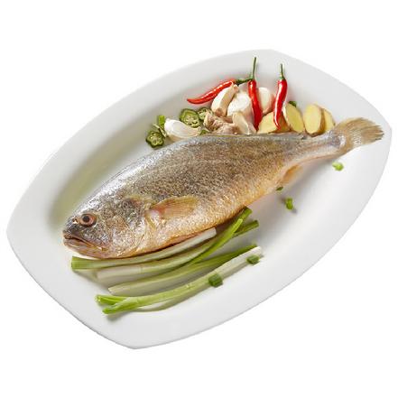 【量少好货】【野生海捕】野生黄花鱼5-7两/条（海底软黄金，柔嫩无刺）