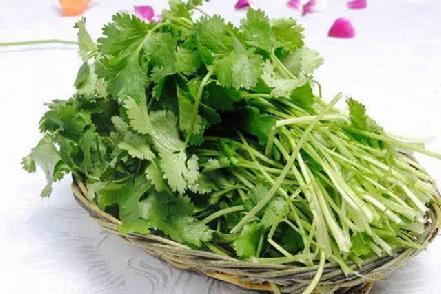 【无农药.】【孩子爱吃 】香菜约250g/份。有机肥种植，不使用任何化学农药、除草剂、激素