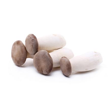 周一送货【优质食材】新鲜小香杏（小型杏鲍菇）约250g±15g/盒