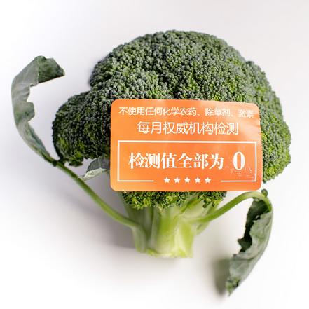 【无农药.】【孩子爱吃 】西兰花约300g/份。有机肥种植，不使用任何化学农药、除草剂、激素