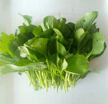 【无农药.】【孩子爱吃的青菜】青梗油菜约350g/份。有机肥种植，不使用任何化学农药