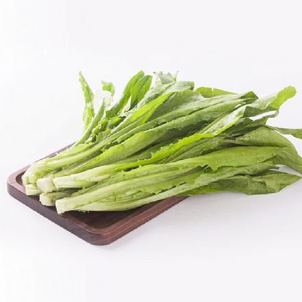 【无农药.】油麦苗约350g/份。有机肥种植，不使用任何化学农药、除草剂、激素