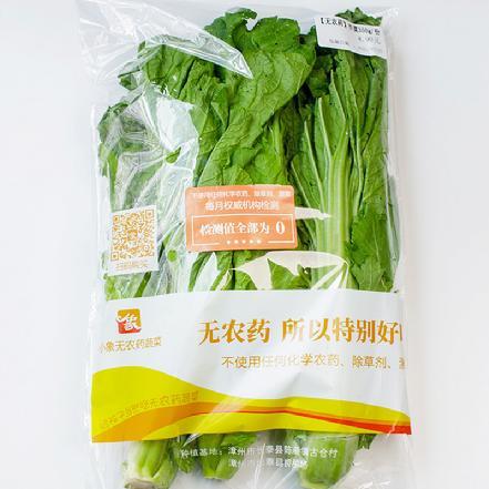 【无农药.】【孩子爱吃的青菜】芥菜350g/份。有机肥种植,不使用任何化学农药、除草剂、激素