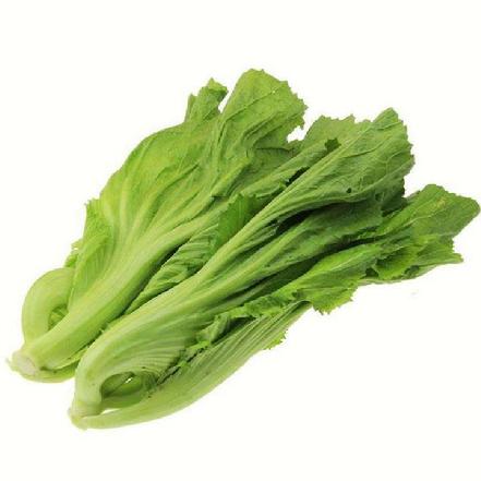 【无农药.】【孩子爱吃的青菜】芥菜约350g/份。有机肥种植，不使用任何化学农药、除草剂、激素