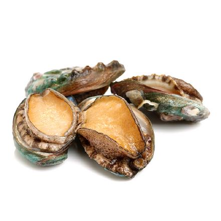 【量少好货】活冻鲍鱼肉500g，40几头/包（海中珍品，杀好真空，炖汤、红烧、清蒸、包粽子）
