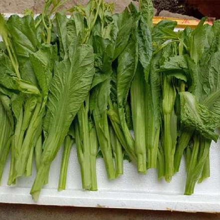 【月卡补贴】【无农药.】【孩子爱吃 】芥菜苔350g/包。（限购1，多拍也发1）