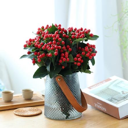 【市价5折】【思念.相思】红豆相思豆5支多头 红红火火，可可爱爱（加购鲜花保鲜剂，可延长花期）