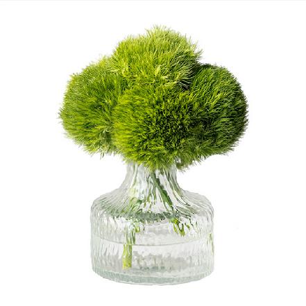 【市价5折】【活力满满.生机.希望】可爱绿毛球1支，配什么花都可爱（限团长自提点购买）