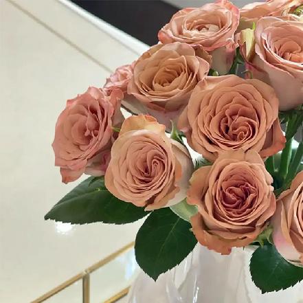 【某朴价6折】卡布奇诺玫瑰1支，复古却不失气质的柔美，自带高级感（另购鲜花保鲜剂，可延长1倍花期） 