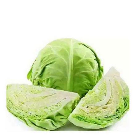 【无农药.】【孩子爱吃 】.包菜450±50g/包。有机肥种植，不使用任何化学农药、除草剂、激素