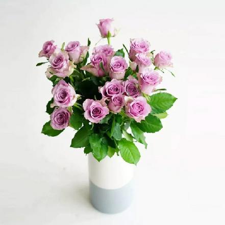 【某朴价6折】紫霞仙子玫瑰1支，梦幻般的水粉紫色（另购鲜花保鲜剂，可延长花期）