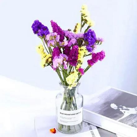 【市价5折】多彩配色勿忘我5支，单插或者配送都好看