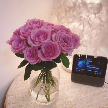 【蕞便宜】【永远的爱】甜蜜雪山玫瑰鲜花1支 大花头类型 开放度高（另购鲜活保鲜剂，可延长1倍花期）