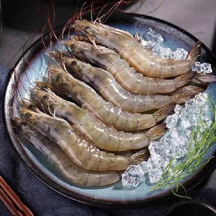 【深海野生】【大虾】冰鲜厄瓜多尔白虾，大个，每份约500g±20（全程冷链）