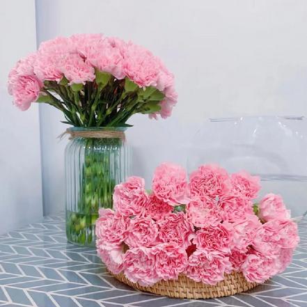 【某朴价6折】【赞美.感恩】粉钻康乃馨鲜花9支，娇嫩的粉色，看着就很暖心（加购鲜活保鲜剂，可延长花期）