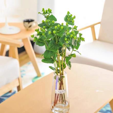 【市价5折】【相思.爱的思念】火龙珠-绿色（绿豆）5支 （限团长自提点购买）