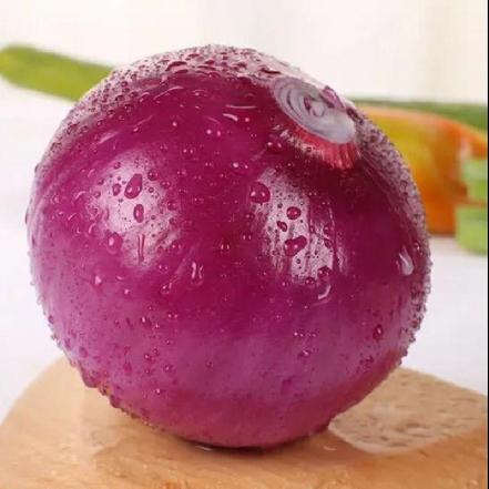 【优质食材】【基地直采】新疆紫红洋葱（营养丰富，配菜佐料，好蔬菜来自好产地）