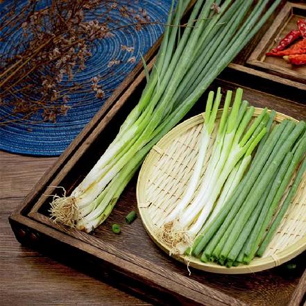 【优质食材】农家本地小葱约100g