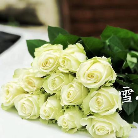 【市价5折】【纯洁的爱恋】白雪山浪漫玫瑰7支，绿色衣瓣包裹的奶油心 （限团长自提点购买）