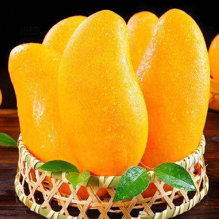 【树上熟】海南正宗特级水仙芒，约300g/个，个大肉多，吃起来过瘾，芒果控的最爱