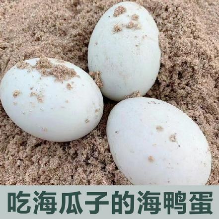 【小象鼎级】【无腥味】九龙江放养海鸭蛋，约430g-450g/6个装，吃海瓜子长大，微量元素高