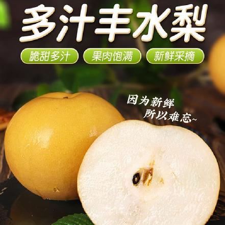 【朴朴价6折，质量更优】丰水梨，皮薄多汁（单果约7-8）两   