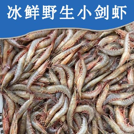 【量少好货】野生海捕剑虾500g（野生剑虾，鲜度杠杠的，补钙超级棒，🦐肉质鲜嫩，补钙第一名）