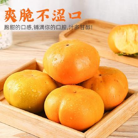 【新品秒杀】巧克力脆柿，酥脆又香甜，不涩口，可以直接吃