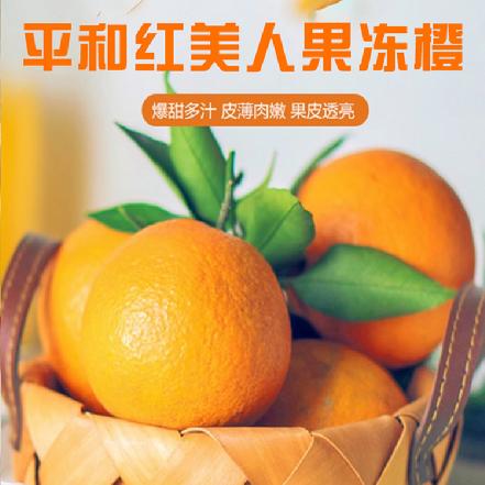 【秒杀】【树上熟】【果农直采】精品平和红美人果冻橙中大果（新鲜采摘，爽口爆汁，果冻般甜蜜）