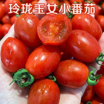【朴朴价6折，质量更优】玲珑小番茄约250g，特别新鲜，鲜脆爆浆 