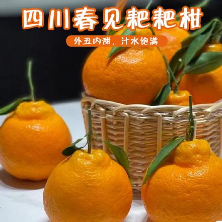 【某朴价6折，质量更优】 四川春见耙耙柑，脆嫩甜润，爽口无渣，果肉粒粒分明，爆汁香甜