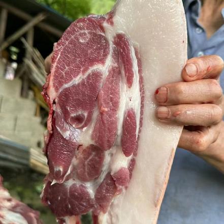 （每周二四六发货）【蕞便宜】【小象鼎级】高山土黑猪前腿肉，粗粮喂养，当日现杀，很新鲜