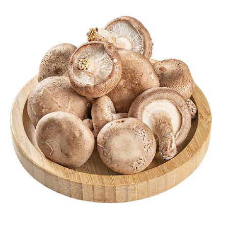 【优质食材】永春高山香菇200g±10g（鲜香浓郁，菇体厚实）