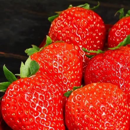 【某朴价6折，质量更优】奶油草莓约200g（含篮子）